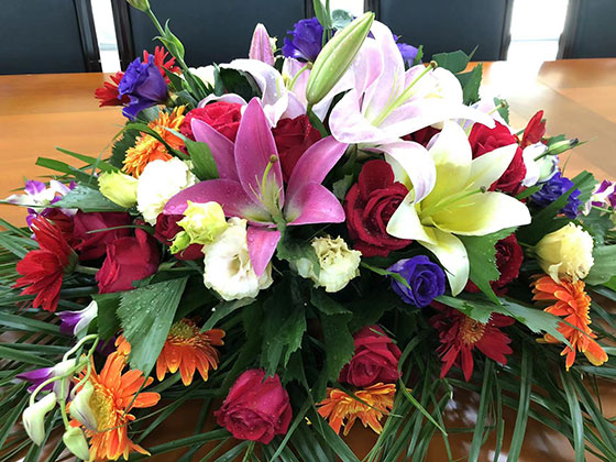 苏州绿植-工业园绿化